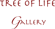 tree of life 
Gallery