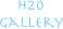 h20
gallery